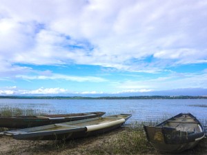 [LẠ] Bàu Sen – Nguồn nước ngọt trên đồi cát trắng