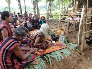 Vườn Quốc Gia Phong Nha – Kẻ Bàng và những điều bạn chưa biết