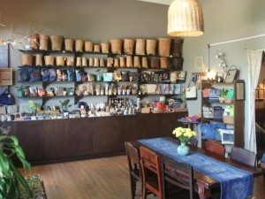Tree Hugger Cafe: Nét mộc mạc giữa lòng thành phố Đồng Hới, điểm hẹn lý tưởng cho những tâm hồn yêu thiên nhiên.