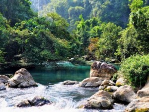 Khe Nước Lạnh Quảng Bình: Nét đẹp hoang sơ, diệu kỳ của thiên nhiên