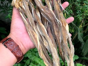 Cá nhà nghèo: Món ngon mềm như cháo, hấp dẫn khó cưỡng!