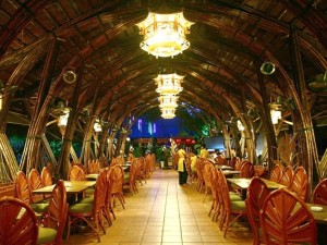 Cafe CoCo’s: Kiến trúc độc lạ, không gian cafe thu hút, điểm đến lý tưởng