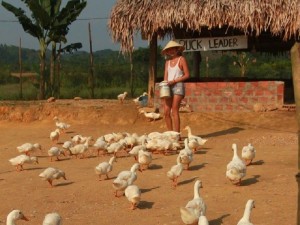 Vương quốc hang động: Điểm du lịch thu hút khách du lịch nước ngoài