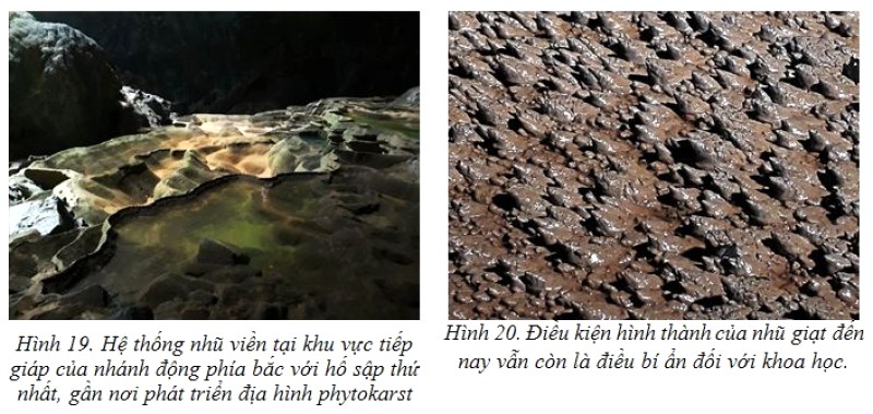 Di sản địa chất độc đáo, ngoại hạng của Phong Nha - Kẻ Bàng.