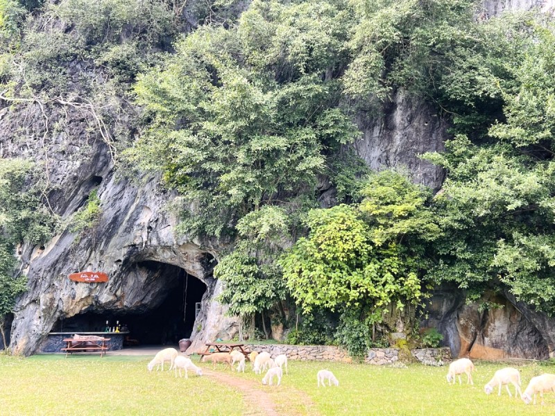 8/3 Quảng Bình: Vui chơi, khám phá!
