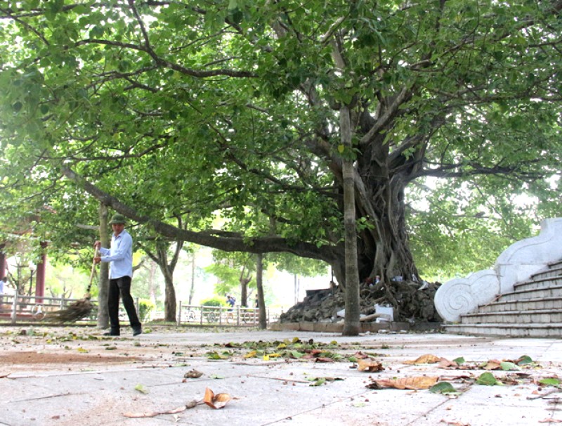 Nghĩa trang Trường Sơn: Nơi yên nghỉ anh hùng