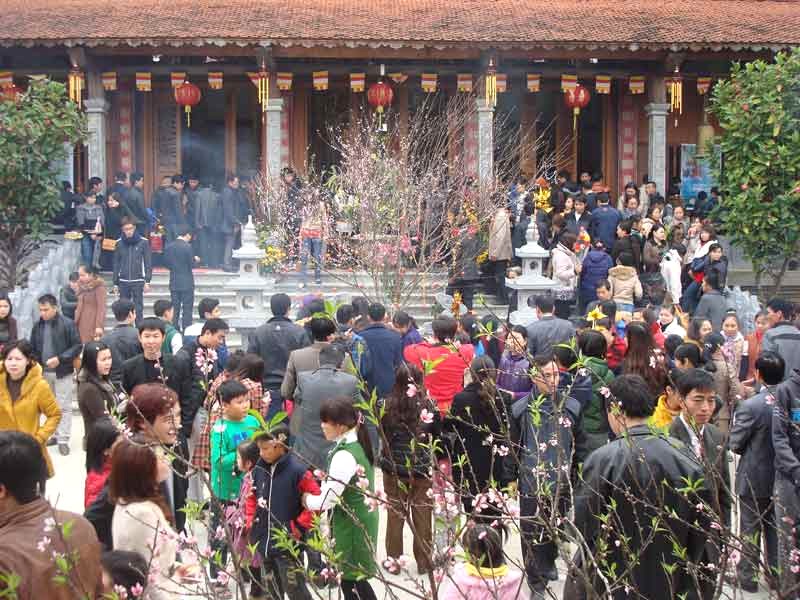 Tết Nguyên Đán: Vui xuân rộn ràng.