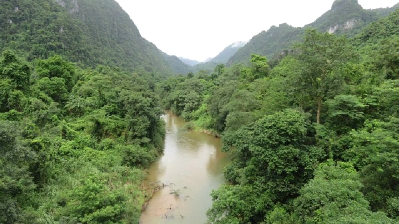 đường vào điểm tập kết