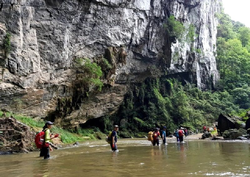 đường vào hang én