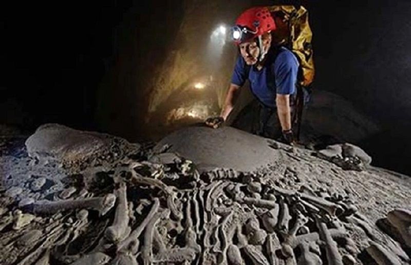 khám phá hóa thạch