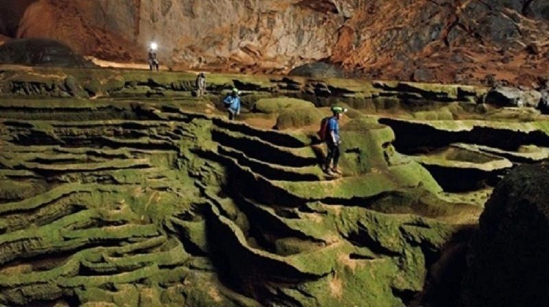 hệ thực vật phong phú